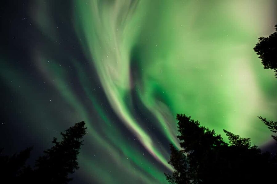Rovaniemi: Northern Lights Tour – Guaranteed with Photos - Key reasons this Rovaniemi aurora tour is a smart bet