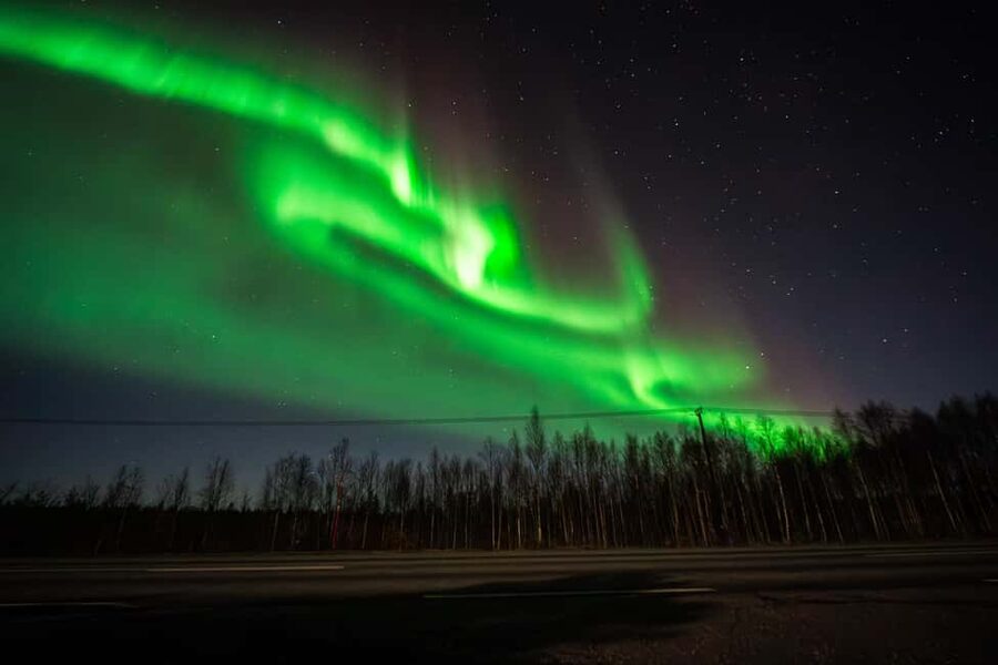 Rovaniemi: Northern Lights Tour – Guaranteed with Photos - Rovaniemi winter darkness, and why forecasting matters