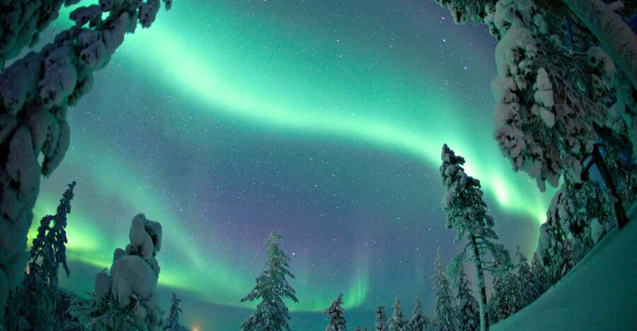 Rovaniemi: Northern Lights Tour with Electric Snowmobiles - Electric snowmobiles and aurora chances in the Rovaniemi dark