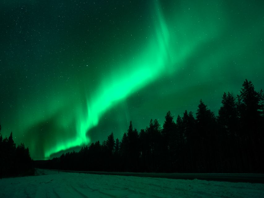 Rovaniemi: Northern Lights Tour with Guaranteed Sightings - Northern Lights in Rovaniemi, with a real hunt plan