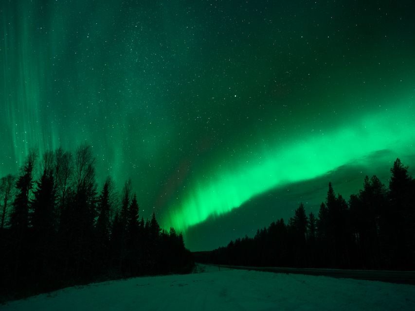Rovaniemi: Northern Lights Tour with Guaranteed Sightings - The command center edge: when apps miss the moment