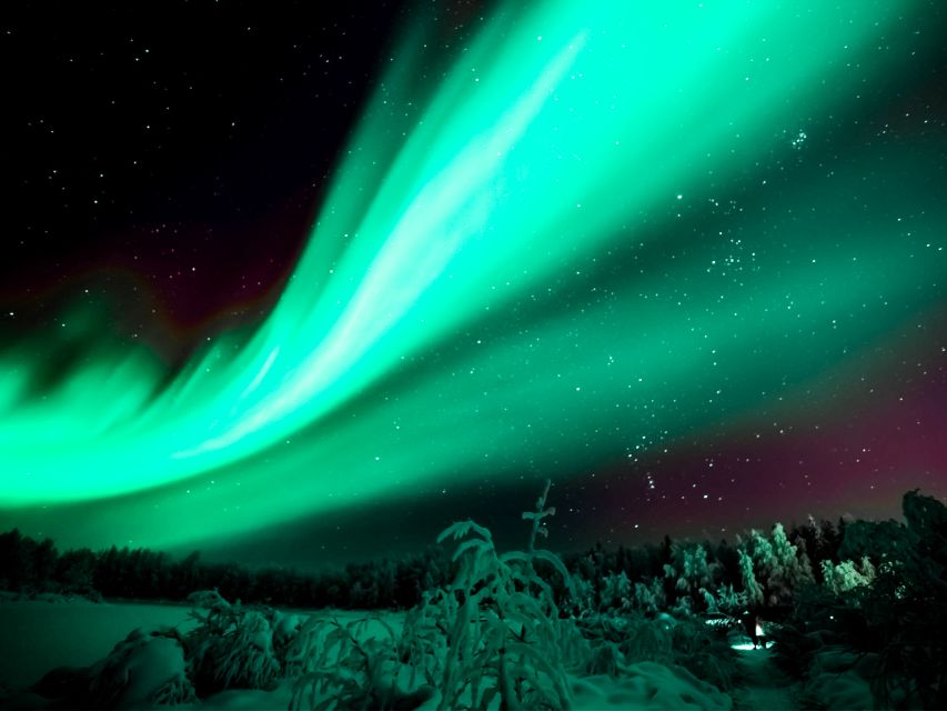 The aurora over snow-covered forest outside Rovaniemi