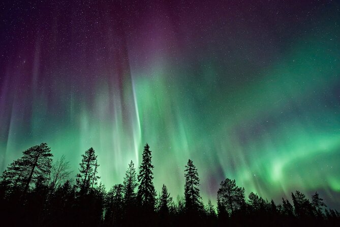 Rovaniemi: Private Aurora Tour with Guaranteed Sightings - Private bus freedom with unlimited mileage and time