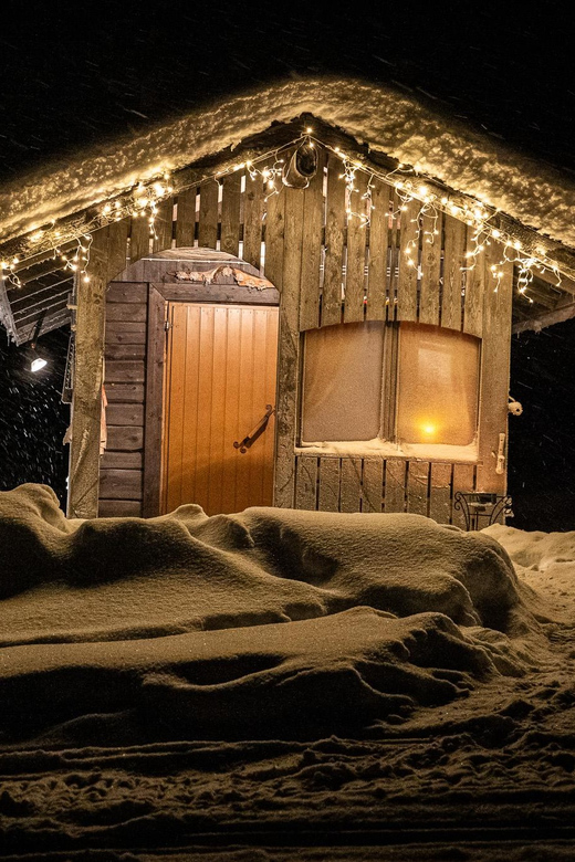 Rovaniemi: Private Sauna and Ice Swimming Tour with Snacks - Price and value: what you get for about $210 per person
