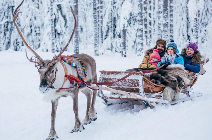 Rovaniemi Private Transfer from Rovaniemi city centre to Rovaniemi airport - Meet-and-greet, luggage help, and included extras