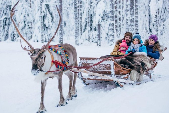 Rovaniemi Private Transfer from Rovaniemi city centre to Rovaniemi airport - Should you book this private transfer?