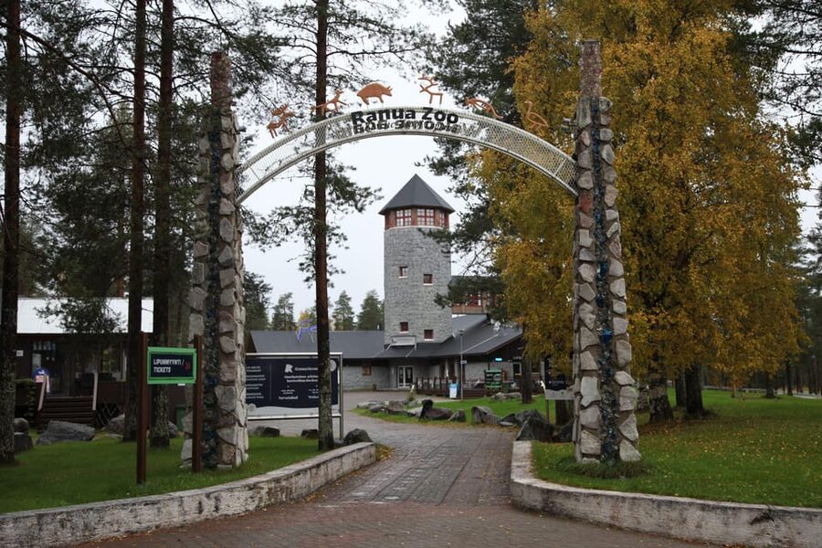 Rovaniemi: Ranua’s Wildlife Park Ticket with Transportation - Hotel pickup at 9:15, and the transfer details that matter