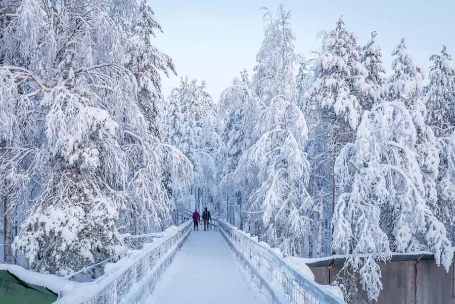 Rovaniemi: Ranua Zoo Wildlife Park Tour with hotel pickup - The guide and small group effect: why you learn more than you expect