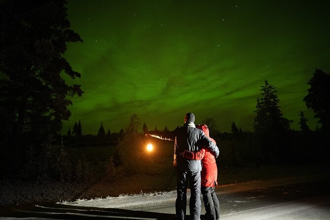 Rovaniemi – Real Northern Lights Hunting Experience (Small Group) - Who this tour fits best