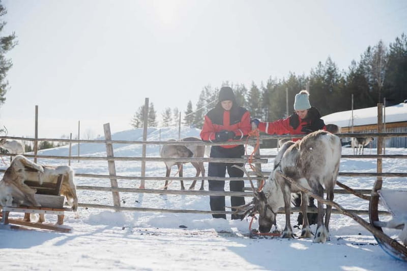 Rovaniemi: Reindeer Experience with Sleigh Ride - Winter clothes provided, and that changes the whole experience