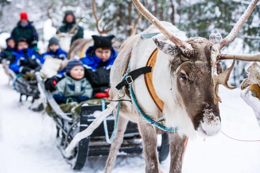 Rovaniemi: Reindeer Farm Visit and Sleigh Ride with transfer - Why this Rovaniemi experience feels more meaningful than a quick animal stop