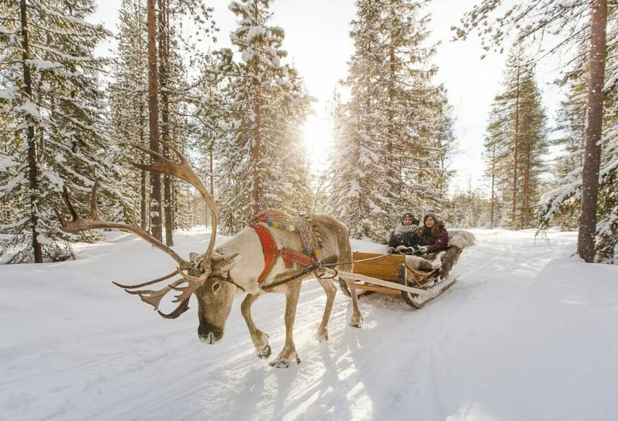 Rovaniemi: Reindeer Farm Visit and Sleigh Ride with transfer - Snacks, hot drinks, and staying comfortable in Arctic conditions