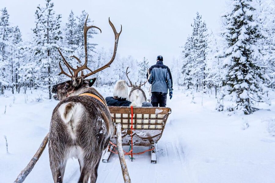 Rovaniemi: Reindeer Farm Visit and Sleigh Ride with transfer - Who this tour suits, and who should choose a different option