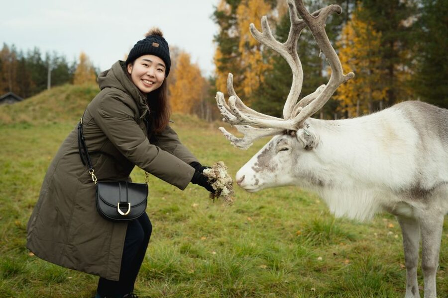 Rovaniemi: Reindeer Farm Visit with Photographer - A Rovaniemi Reindeer Farm Visit Built for Real Interactions