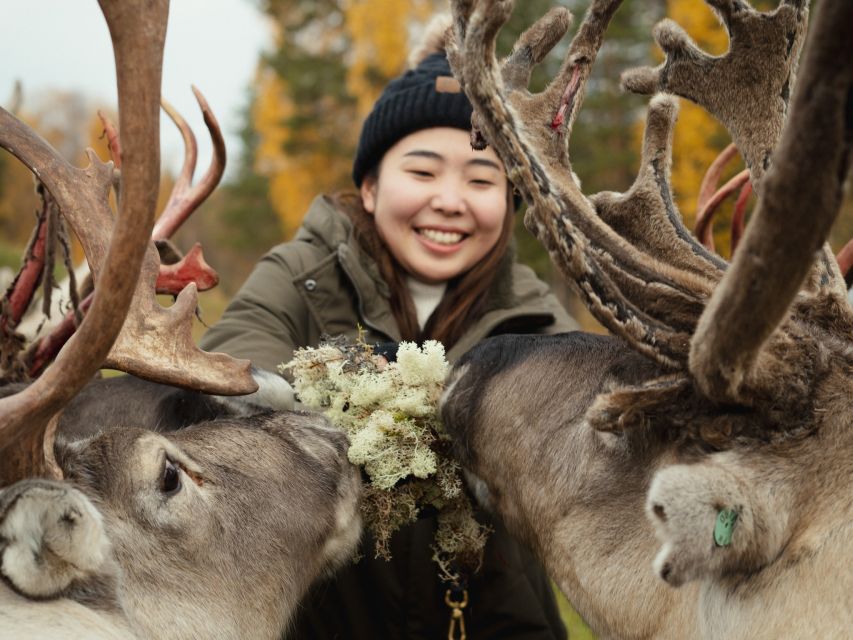 Rovaniemi: Reindeer Farm Visit with Photographer - Feeding, Petting, and the Fire-Side Break With Hot Juice and Cookies