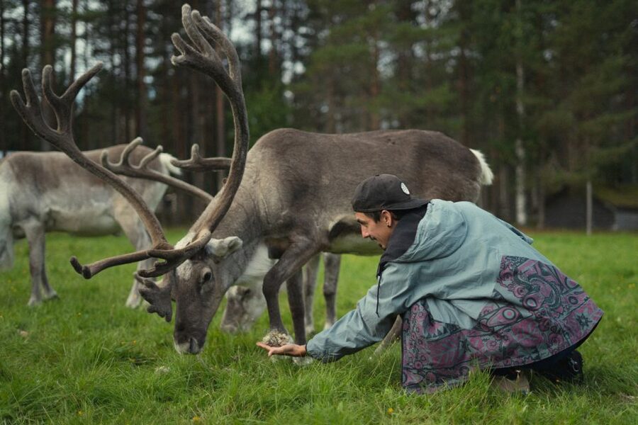 Rovaniemi: Reindeer Farm Visit with Photographer - The Short Sleigh Ride (400m) Depends on Snow, So Plan for Both Outcomes