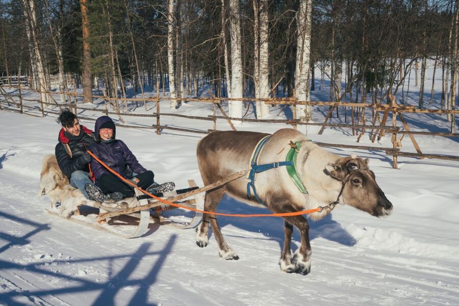 Rovaniemi: Reindeer Farm Visit with Photographer - Season and Cold Reality: What to Expect When Weather Changes