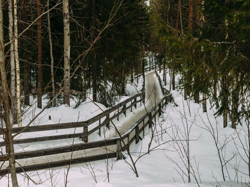 Rovaniemi: Reindeer Farm Visit with Sleigh Ride & Pickup - Hotel Pickup in Rovaniemi That Keeps the Day Simple