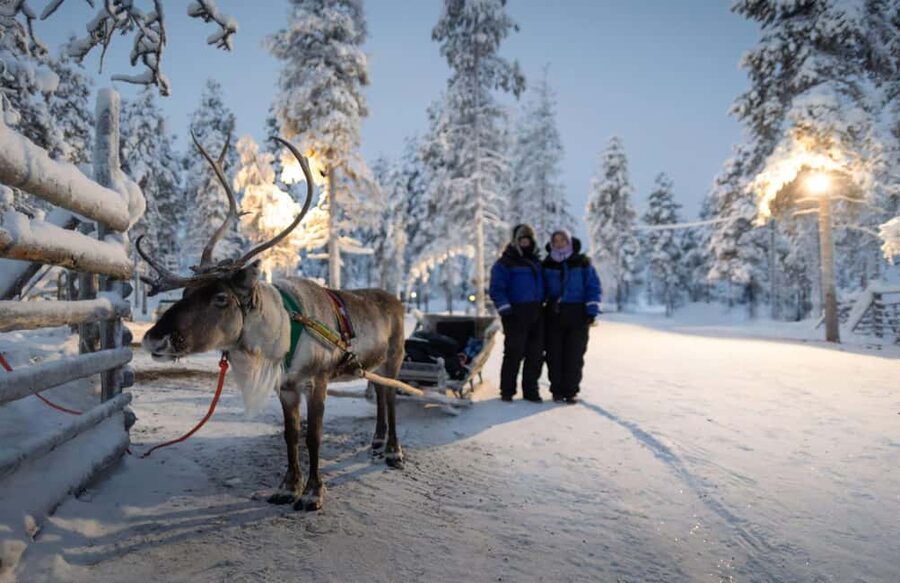 Rovaniemi: Reindeer Farm Visit with Sleigh Ride & Snacks - Pickup and logistics: smooth, but be ready on time