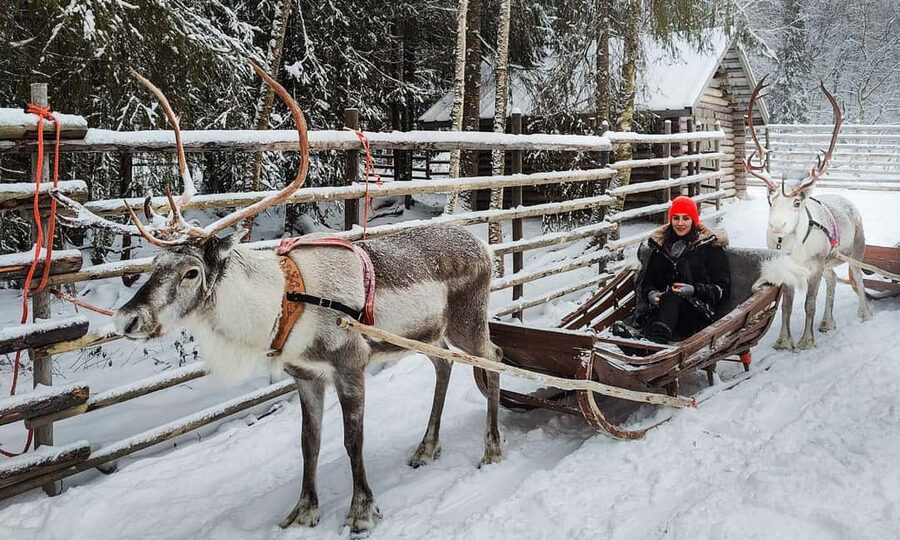 Rovaniemi: Reindeer Farm Visit with Sleigh Ride & Snacks - Practical tips to make the most of your visit