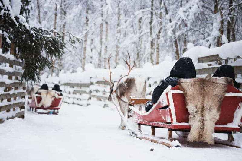 Rovaniemi: Reindeer, Huskies & Santa Claus Village - Husky sled safari in the Arctic Circle area, 500m ride style