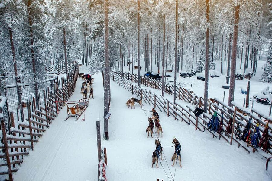 Rovaniemi: Reindeer & Husky Ride with Santa Claus Village - Key things I’d prioritize before you go