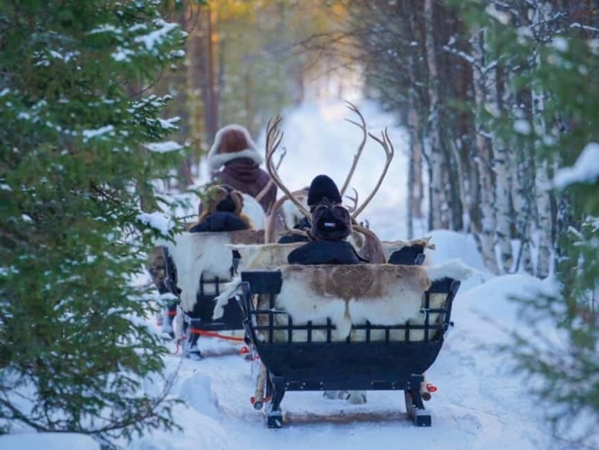 Rovaniemi: Reindeer Safari at 200-Year-Old Farm & Sled Ride - Feeding the Reindeer and Getting One More Close-Up Moment