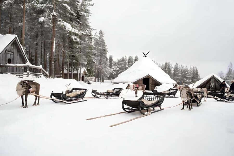 Rovaniemi: Reindeer Safari at 200-Year-Old Farm & Sled Ride - Price and Time: What $211 Buys You in Real Value