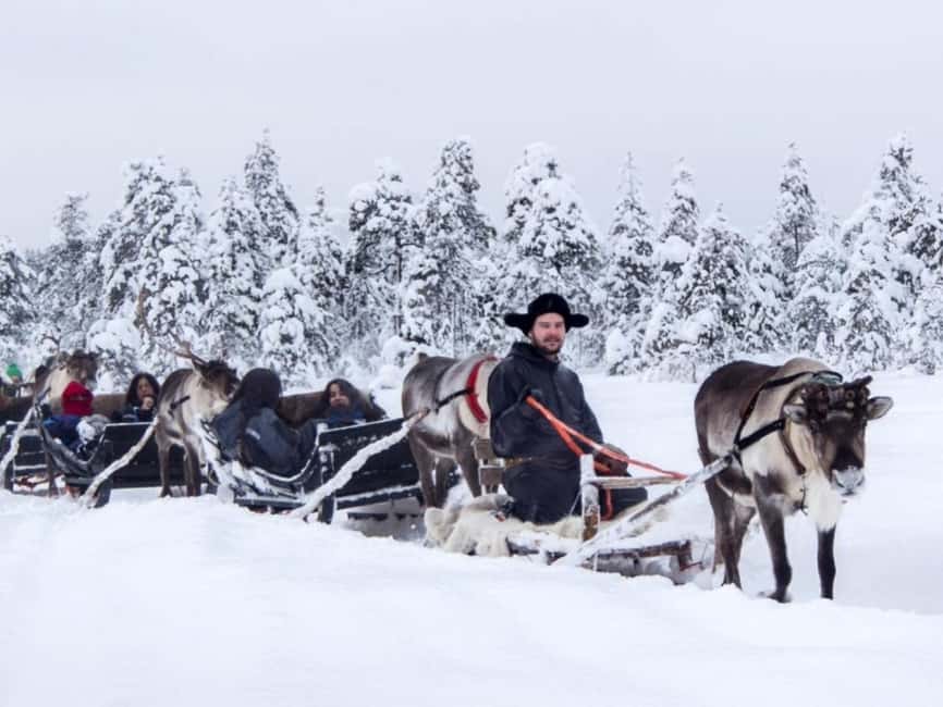 Rovaniemi: Reindeer Safari at 200-Year-Old Farm & Sled Ride - Should You Book This Reindeer Safari in Rovaniemi?
