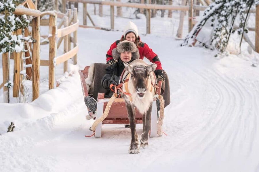Rovaniemi: Reindeer Safari at 200-Year-Old Farm & Sled Ride - The 2.5 km Traditional Sled Ride Through Quiet Snow