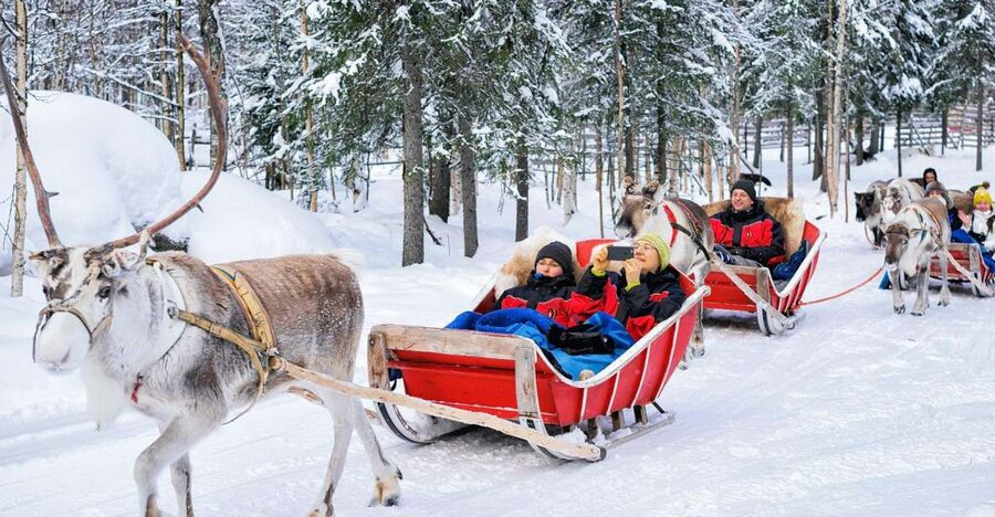 Rovaniemi: Reindeer Sleigh Ride with Hot Drink and Cookies - Why This Reindeer Farm Ride Feels Real in Rovaniemi