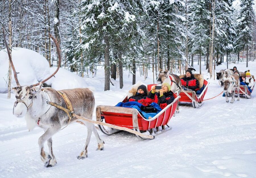Rovaniemi: Reindeer Sleigh Ride with Hot Drink and Cookies - Should You Book This Reindeer Sleigh Ride in Rovaniemi?