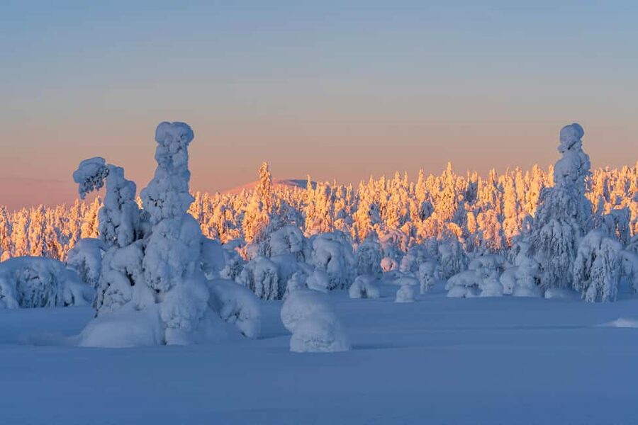 Rovaniemi: Riisitunturi Guided Hike with Photography and BBQ - Riisitunturi National Park: A Guided 4.3 km Snow Hike With Real Viewpoints
