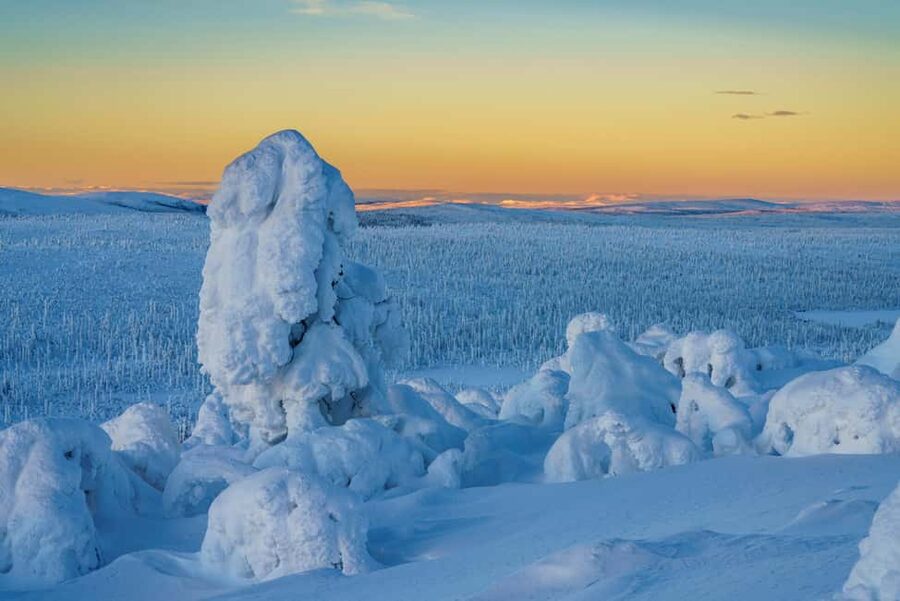 Rovaniemi: Riisitunturi Guided Hike with Photography and BBQ - Photo Coverage That Actually Helps: What Guides Do With Your Camera Day