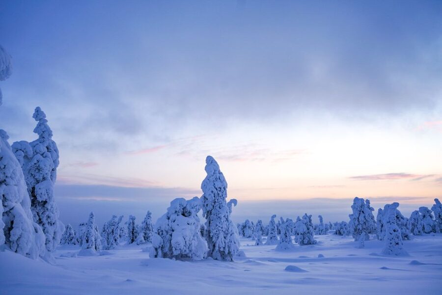 Rovaniemi: Riisitunturi National Park Day Trip with Lunch - Why Riisitunturi feels special in the middle of winter