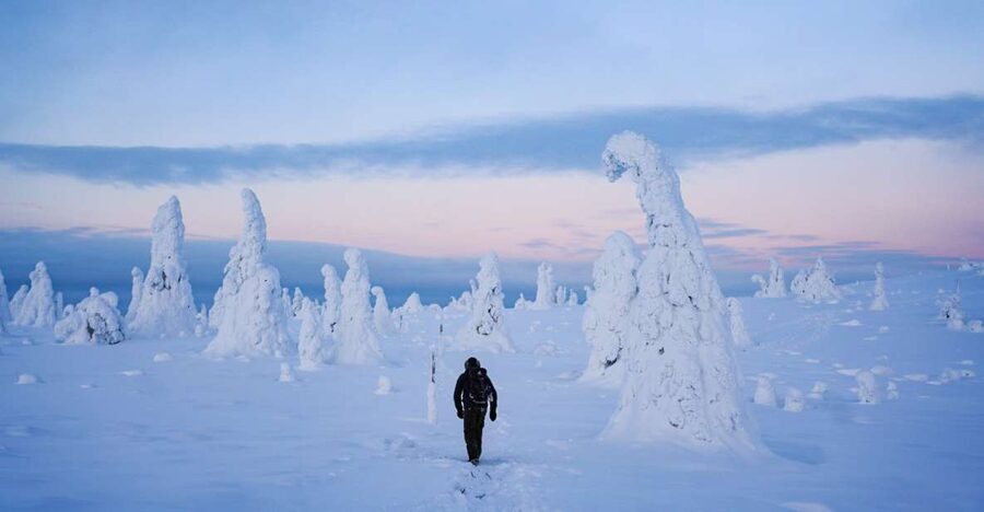Rovaniemi: Riisitunturi National Park Day Trip with Lunch - The 9-hour flow: pickup, drive through Arctic wilderness, and a 4 km winter hike