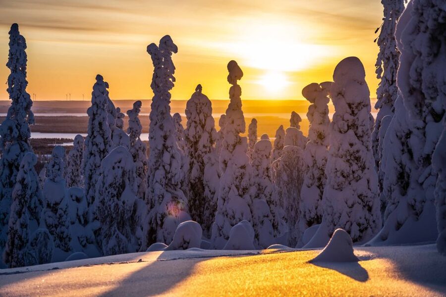 Rovaniemi: Riisitunturi National Park with Pro Photos & BBQ - Riisitunturi fells and frozen forests, built for winter views