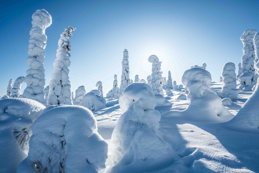 Rovaniemi: Riisitunturi National Park with Pro Photos & BBQ - Inside the park: how the day actually flows
