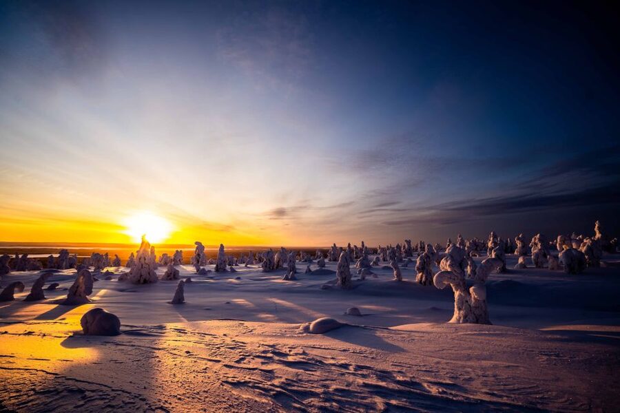 Rovaniemi: Riisitunturi National Park with Pro Photos & BBQ - The photography and the edited-photo payoff