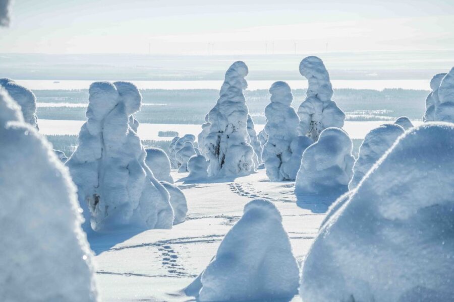 Rovaniemi: Riisitunturi National Park with Pro Photos & BBQ - Weather reality in Lapland, from cloudy skies to fresh snowfall