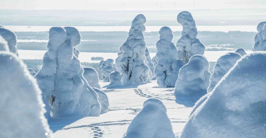 Rovaniemi: Riisitunturi National Park with Pro Photos & BBQ - How hard is it, and who it suits best