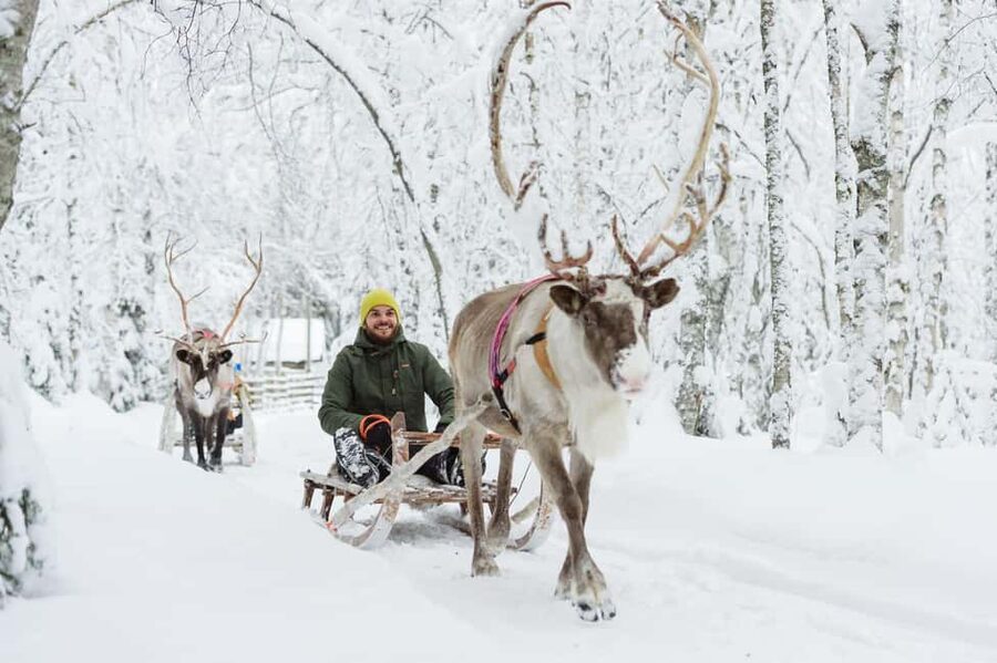 Rovaniemi: Saami Reindeer Farm Visit & Sleigh Ride - From Rovaniemi pickup to the farm, 2 hours moves fast