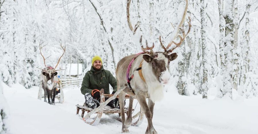 Rovaniemi: Saami Reindeer Farm Visit & Sleigh Ride - Inside a traditional Sámi reindeer farm: feeding, questions, and real connection