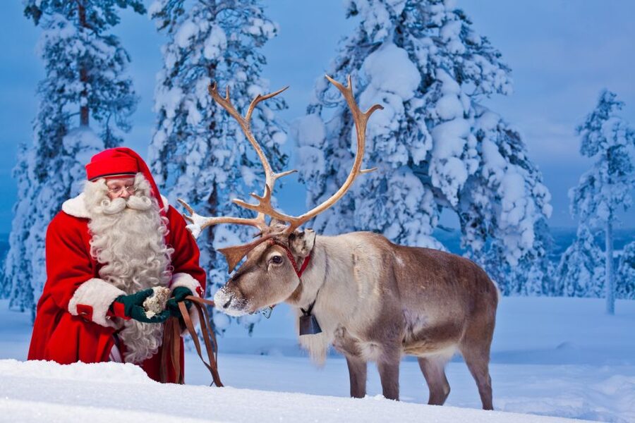 Rovaniemi: Santa Claus Village and Arctic Circle - Reindeer ride timing, and what to do if it is not available