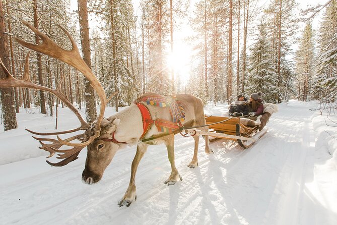 Rovaniemi Santa Claus Village Husky and Reindeer Tour VIP VAN - What you get in an 8-hour Santa, husky, and reindeer day