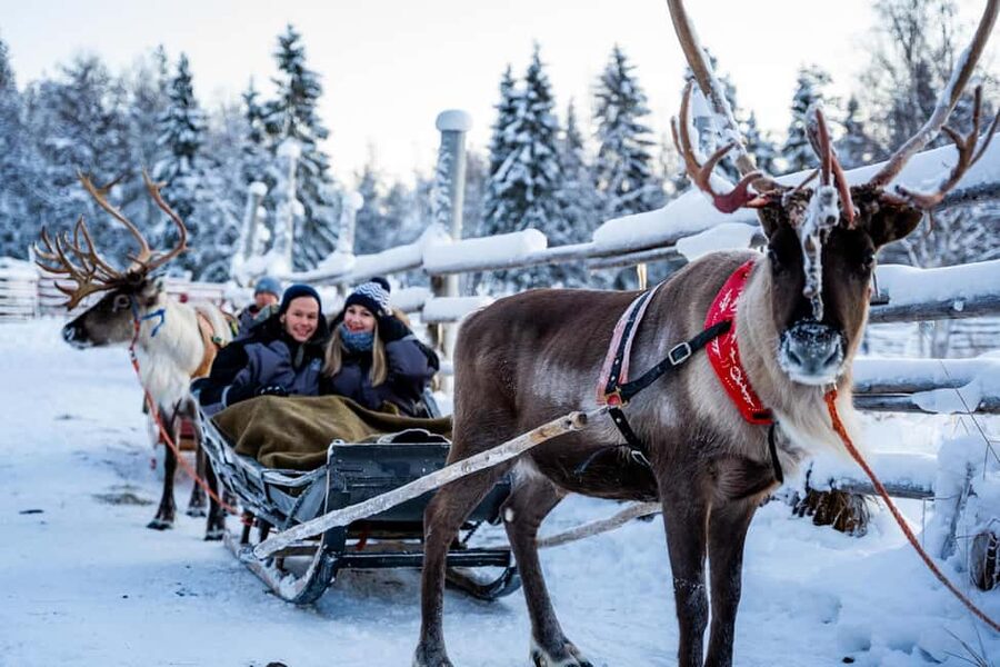 Rovaniemi: Santa Claus Village + Husky & Reindeer Sled Ride - Husky Farm and Husky Safari: Learning the Dogs, Then Riding