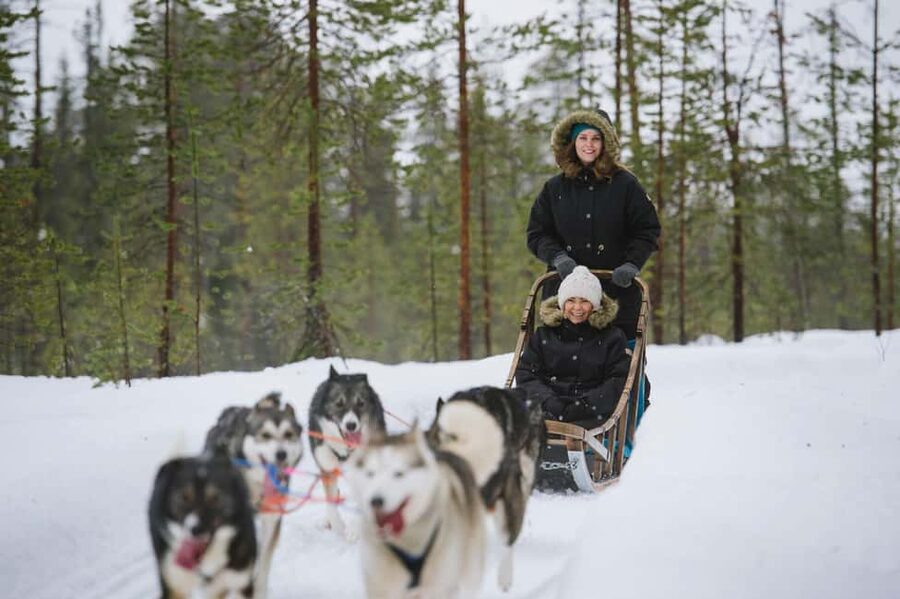 Rovaniemi: Santa Claus Village, Husky & Reindeer Tour - Rovaniemi winter moments: sledding, snowmobile time, and tea