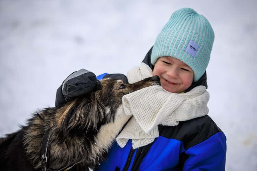 Rovaniemi: Santa Claus Village, Husky & Reindeer Tour - What to wear, what to bring, and who this tour suits best