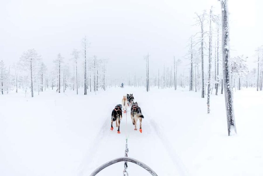 Rovaniemi: Santa Claus Village, Husky & Reindeer Tour - FAQ