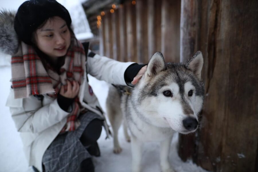 Rovaniemi: Santa Claus Village Tour Huskies & Reindeer ride - Who this tour suits best